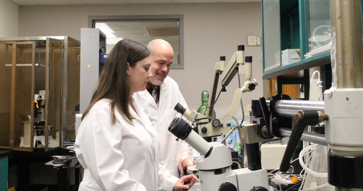 SandersBrown Grant Trains New Generation of Dementia Researchers UKNow